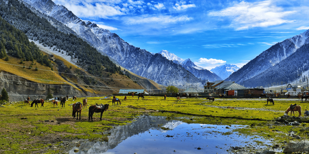 Pahalgam Valley Image